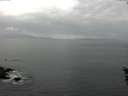 ./images/koeye/fitz-hugh/20160527/fitz-hugh20160527_063302.jpg