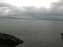 ./images/koeye/fitz-hugh/20160527/fitz-hugh20160527_110302.jpg