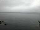 ./images/koeye/fitz-hugh/20160528/fitz-hugh20160528_050302.jpg