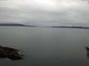 ./images/koeye/fitz-hugh/20160528/fitz-hugh20160528_090302.jpg
