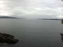 ./images/koeye/fitz-hugh/20160528/fitz-hugh20160528_100302.jpg