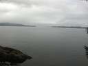 ./images/koeye/fitz-hugh/20160528/fitz-hugh20160528_110303.jpg
