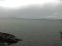 ./images/koeye/fitz-hugh/20160528/fitz-hugh20160528_140302.jpg
