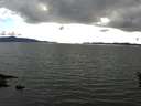 ./images/koeye/fitz-hugh/20160528/fitz-hugh20160528_180301.jpg