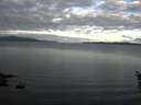 ./images/koeye/fitz-hugh/20160529/fitz-hugh20160529_063302.jpg
