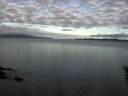./images/koeye/fitz-hugh/20160529/fitz-hugh20160529_070302.jpg
