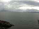 ./images/koeye/fitz-hugh/20160529/fitz-hugh20160529_121803.jpg