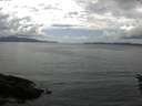 ./images/koeye/fitz-hugh/20160529/fitz-hugh20160529_150301.jpg