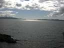 ./images/koeye/fitz-hugh/20160529/fitz-hugh20160529_163301.jpg