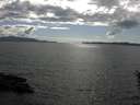 ./images/koeye/fitz-hugh/20160529/fitz-hugh20160529_170301.jpg