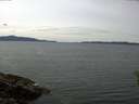 ./images/koeye/fitz-hugh/20160530/fitz-hugh20160530_140301.jpg