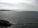 ./images/koeye/fitz-hugh/20160530/fitz-hugh20160530_153302.jpg