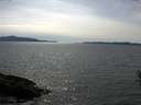 ./images/koeye/fitz-hugh/20160530/fitz-hugh20160530_160004.jpg