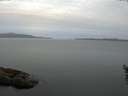 ./images/koeye/fitz-hugh/20160531/fitz-hugh20160531_053302.jpg