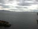 ./images/koeye/fitz-hugh/20160531/fitz-hugh20160531_133302.jpg