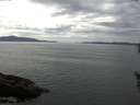 ./images/koeye/fitz-hugh/20160531/fitz-hugh20160531_140301.jpg