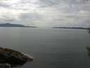 ./images/koeye/fitz-hugh/20160531/fitz-hugh20160531_150302.jpg