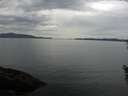 ./images/koeye/fitz-hugh/20160531/fitz-hugh20160531_153302.jpg