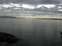 ./images/koeye/fitz-hugh/20160531/fitz-hugh20160531_170302.jpg