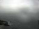 ./images/koeye/fitz-hugh/20160601/fitz-hugh20160601_080301.jpg