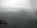 ./images/koeye/fitz-hugh/20160601/fitz-hugh20160601_083302.jpg