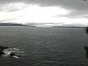 ./images/koeye/fitz-hugh/20160601/fitz-hugh20160601_122702.jpg