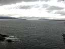 ./images/koeye/fitz-hugh/20160601/fitz-hugh20160601_123302.jpg