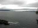 ./images/koeye/fitz-hugh/20160601/fitz-hugh20160601_133302.jpg