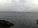 ./images/koeye/fitz-hugh/20160602/fitz-hugh20160602_063302.jpg