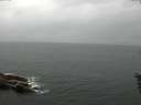 ./images/koeye/fitz-hugh/20160602/fitz-hugh20160602_090302.jpg