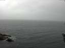 ./images/koeye/fitz-hugh/20160602/fitz-hugh20160602_093302.jpg