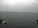 ./images/koeye/fitz-hugh/20160602/fitz-hugh20160602_100005.jpg