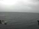 ./images/koeye/fitz-hugh/20160602/fitz-hugh20160602_103303.jpg