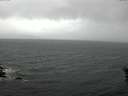./images/koeye/fitz-hugh/20160602/fitz-hugh20160602_110302.jpg