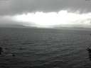 ./images/koeye/fitz-hugh/20160602/fitz-hugh20160602_113302.jpg