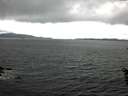 ./images/koeye/fitz-hugh/20160602/fitz-hugh20160602_120302.jpg