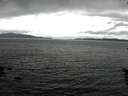 ./images/koeye/fitz-hugh/20160602/fitz-hugh20160602_121506.jpg