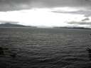 ./images/koeye/fitz-hugh/20160602/fitz-hugh20160602_121802.jpg