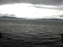 ./images/koeye/fitz-hugh/20160602/fitz-hugh20160602_122101.jpg