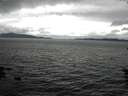 ./images/koeye/fitz-hugh/20160602/fitz-hugh20160602_122402.jpg