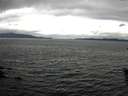 ./images/koeye/fitz-hugh/20160602/fitz-hugh20160602_122702.jpg