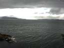 ./images/koeye/fitz-hugh/20160602/fitz-hugh20160602_140004.jpg