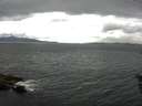 ./images/koeye/fitz-hugh/20160602/fitz-hugh20160602_140301.jpg