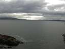 ./images/koeye/fitz-hugh/20160602/fitz-hugh20160602_163303.jpg