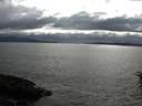 ./images/koeye/fitz-hugh/20160602/fitz-hugh20160602_173302.jpg