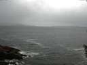 ./images/koeye/fitz-hugh/20160603/fitz-hugh20160603_080006.jpg