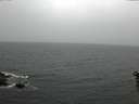 ./images/koeye/fitz-hugh/20160603/fitz-hugh20160603_110302.jpg