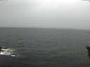 ./images/koeye/fitz-hugh/20160603/fitz-hugh20160603_113302.jpg