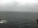./images/koeye/fitz-hugh/20160603/fitz-hugh20160603_120303.jpg