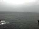 ./images/koeye/fitz-hugh/20160603/fitz-hugh20160603_121505.jpg